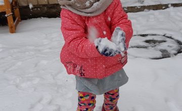 12631