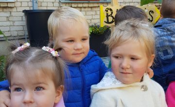 16104