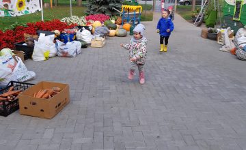 16306