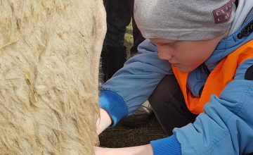 19342